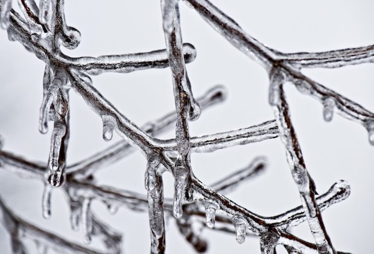 Landscape Freeze