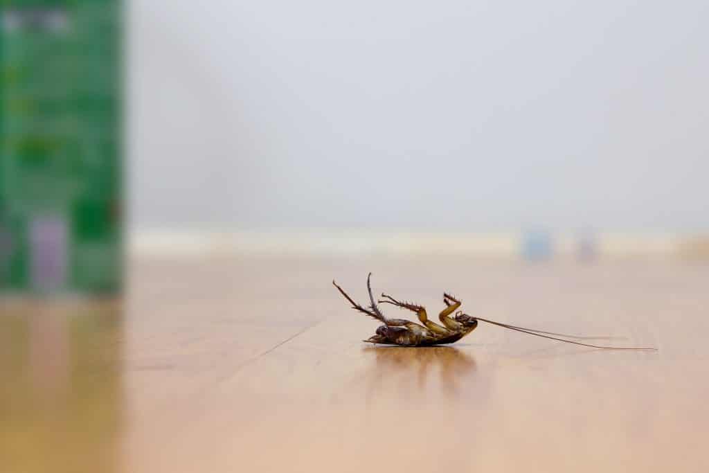 Keep Pests Out