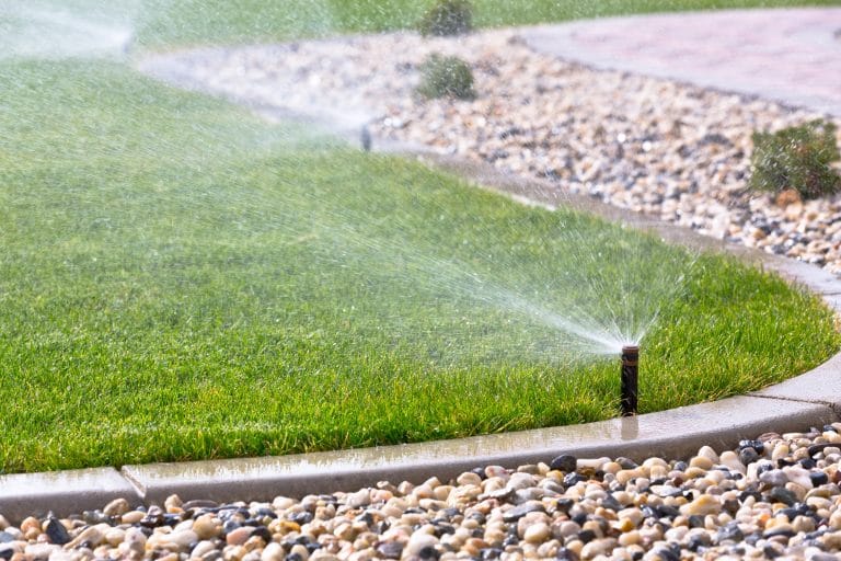 Watering Florida Lawns
