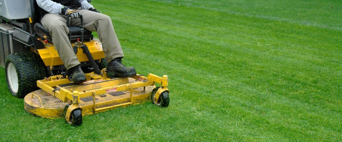 4 Reasons You Should Never Bag Your Grass! - Lawn Care Extraordinaire