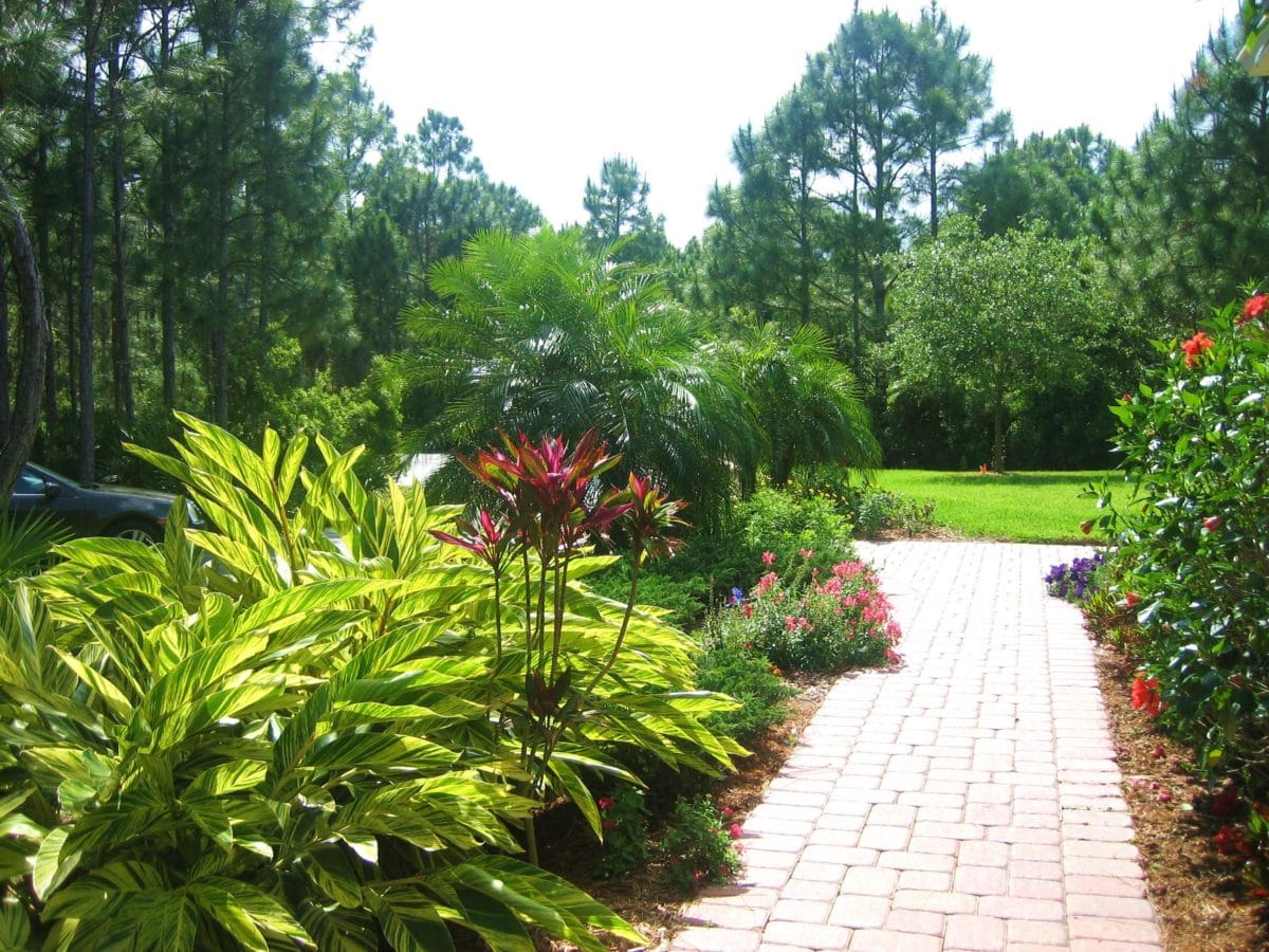 Shrub Bed Weed Control Service Lawn Care Extraordinaire