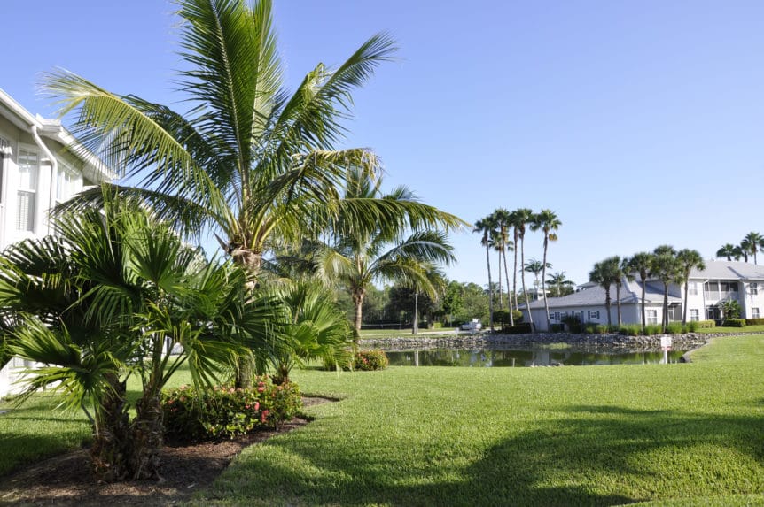 3 Factors For A Healthy Florida Lawn in Venice Florida