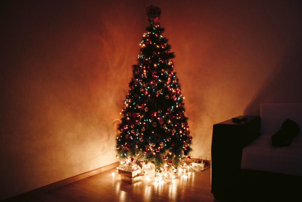 Christmas Tree Have Bugs