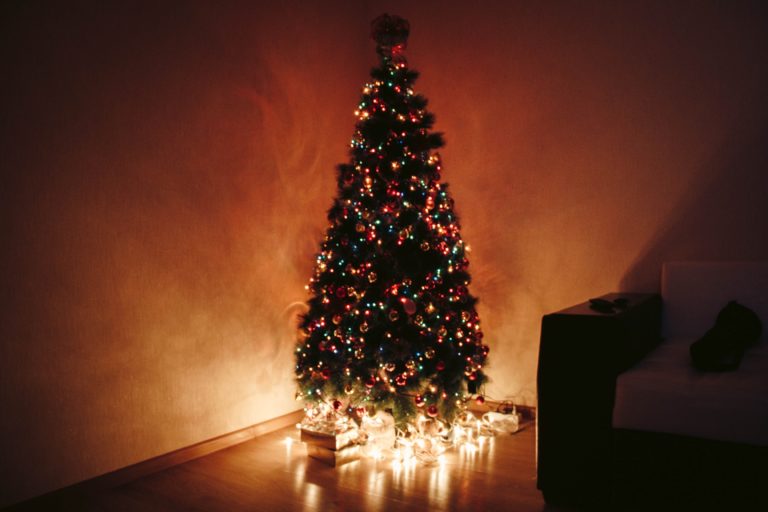 Christmas Tree Have Bugs