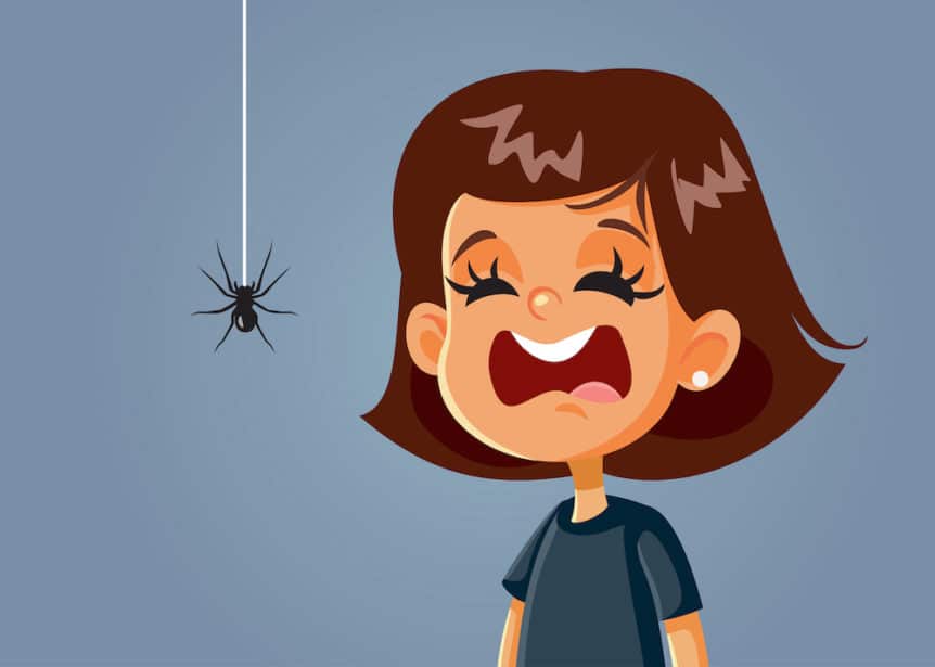afraid of spiders