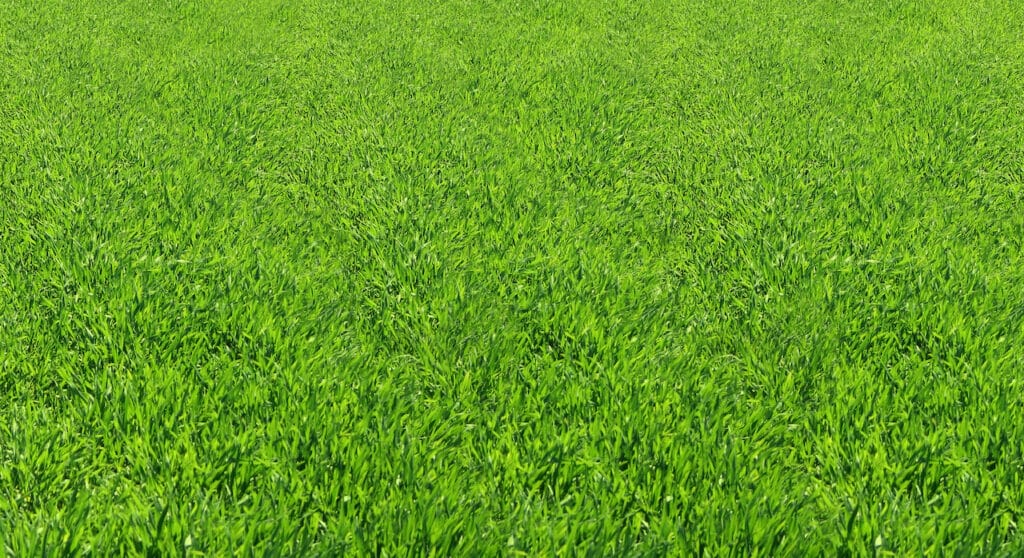 floratam