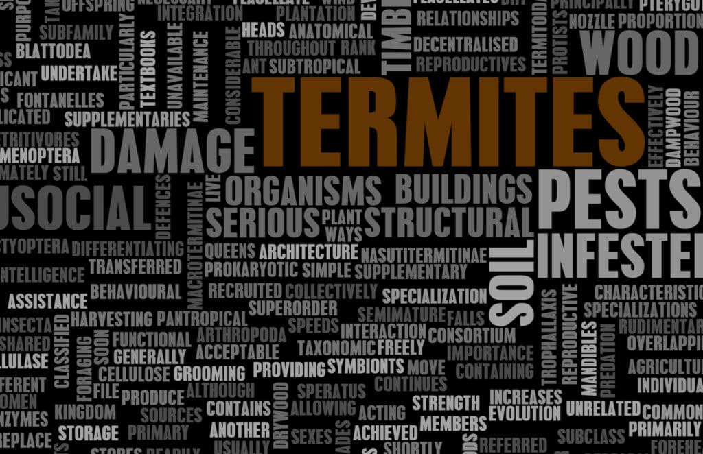 DIY Pest Control Word Picture