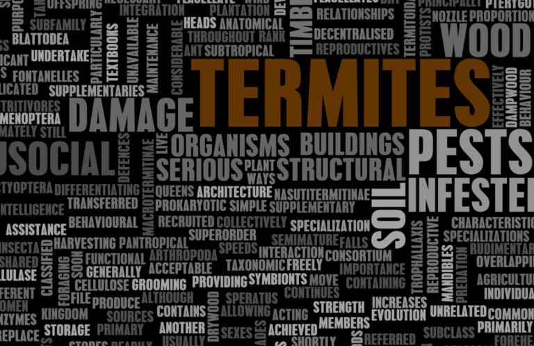 DIY Pest Control Word Picture