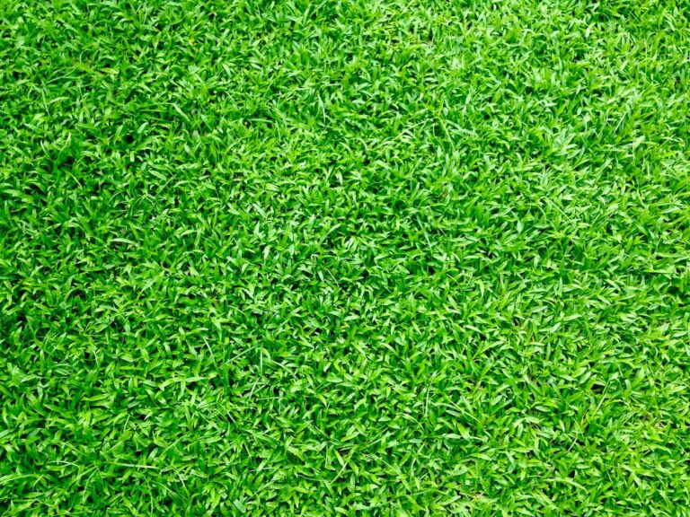 Responsible Fertilization Practices