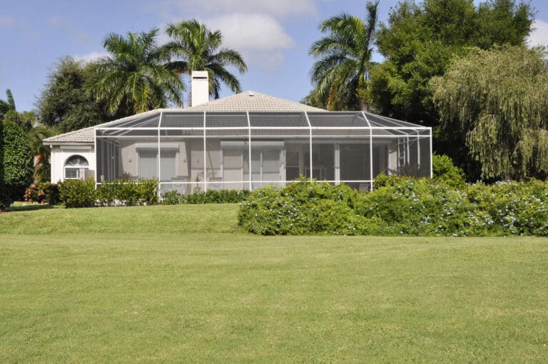 lawn grubs venice florida