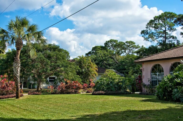 Florida Friendly Landscape