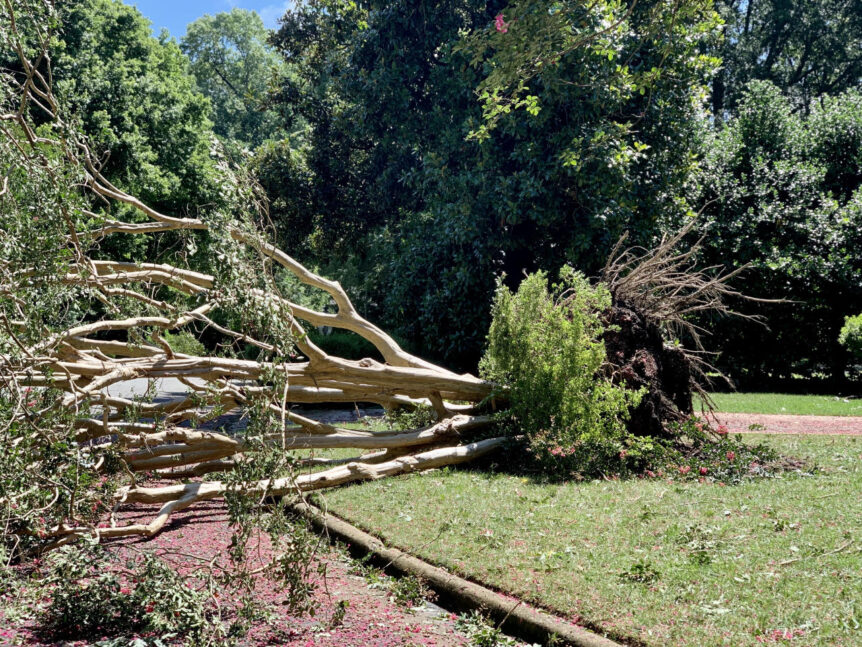 Englewood Storm Recovery: Landscaping Tips for You