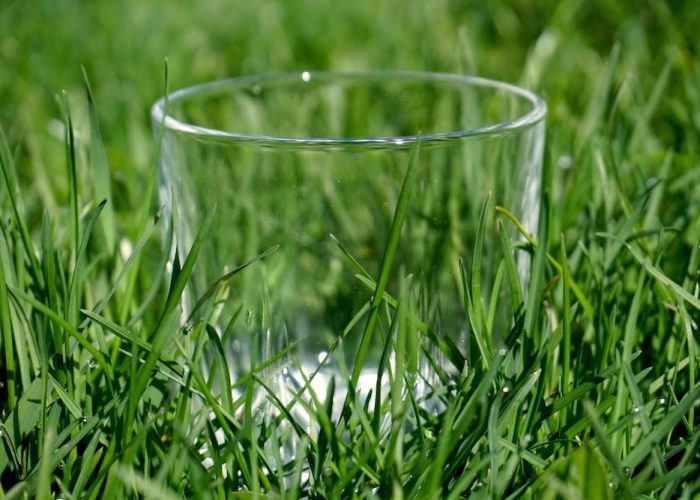 empty glass in green grass