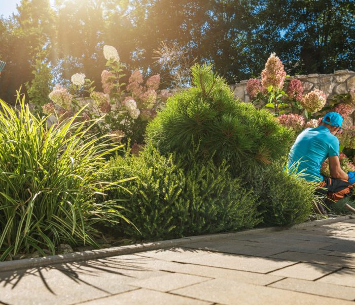 5 Must-Have Hardscaping Features for Your North Port Home
