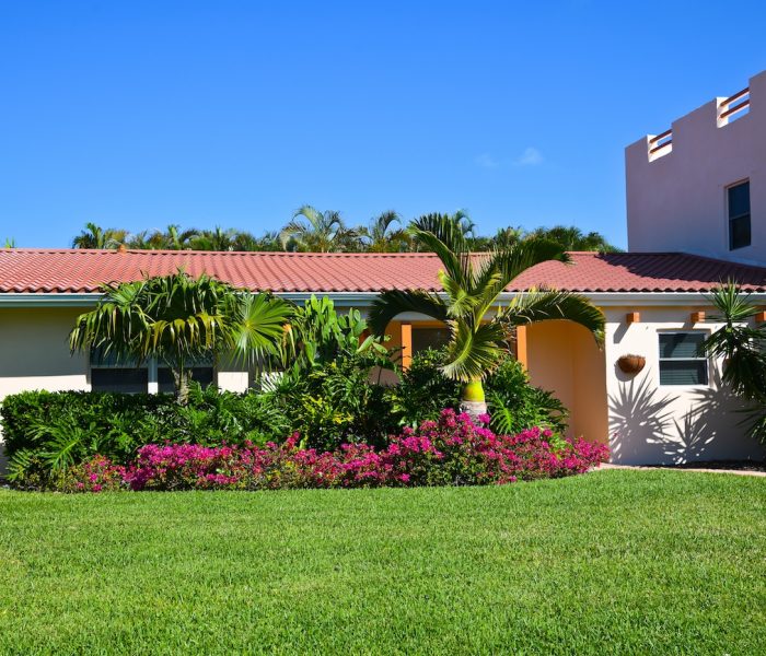 spring lawn care tips